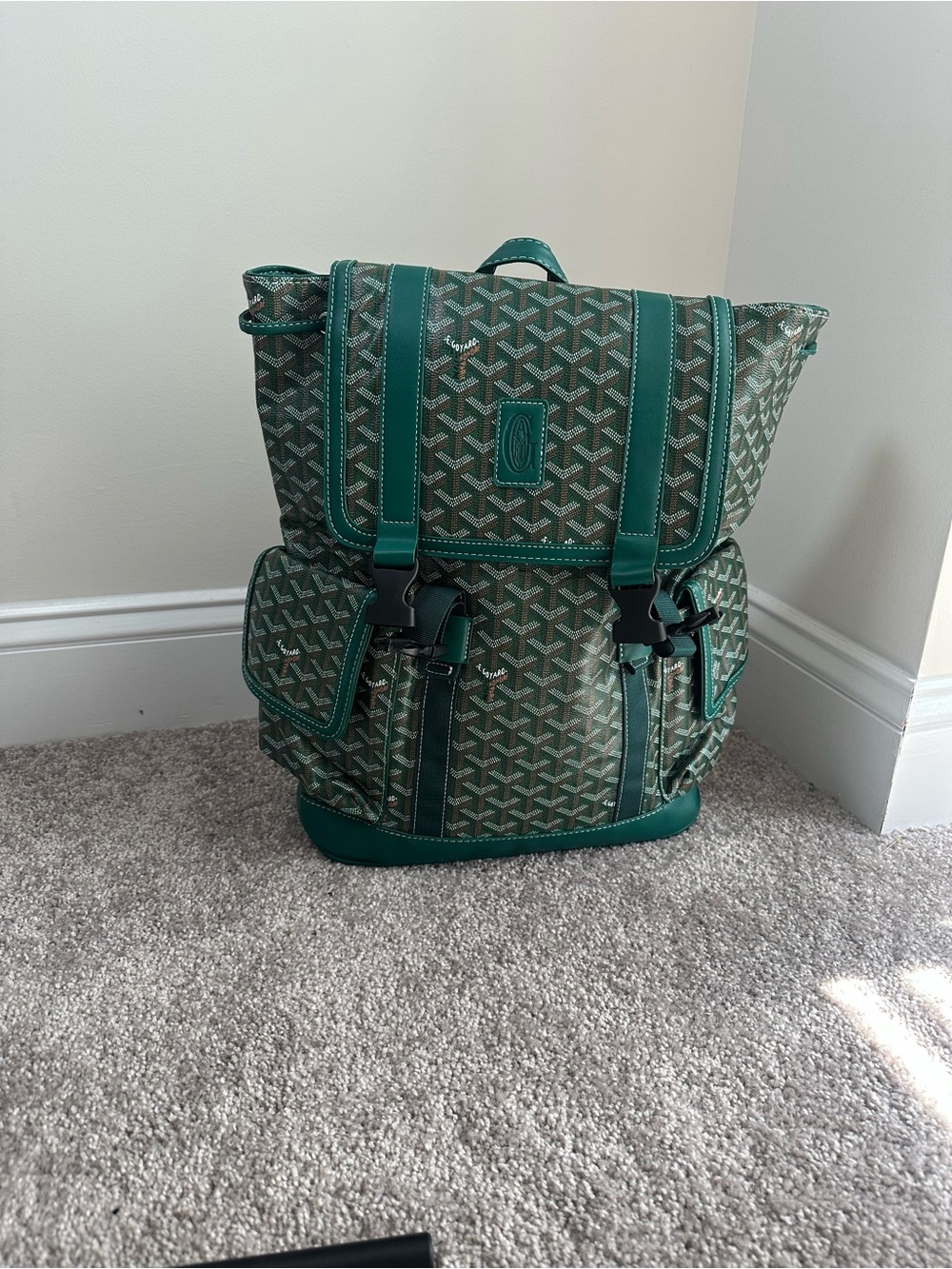 Green Patterned Men’s Drawstring Backpack - Picture 3 of 3